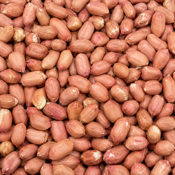 Roasted & Salted Spanish Peanuts – Crunchy Whole Peanuts, Fresh Snack, Protein-Rich, Bulk Gourmet Nuts