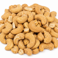 Roasted & Salted Cashew Butts – Crunchy, Ready-to-Snack Nut Pieces