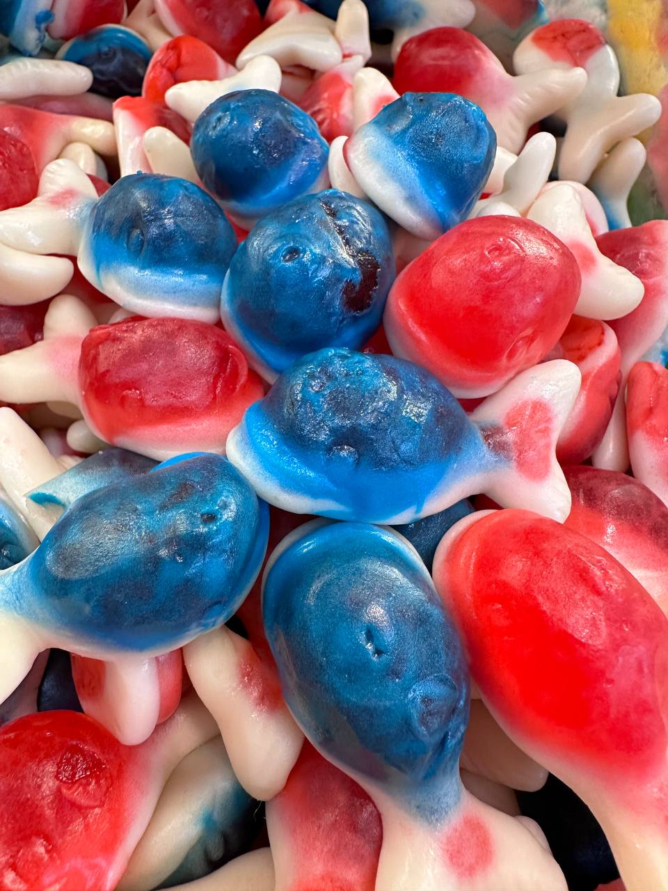 Exploring the World of Gummy Animal Candy: From Turtles to Sharks - Sugar Bear Candy