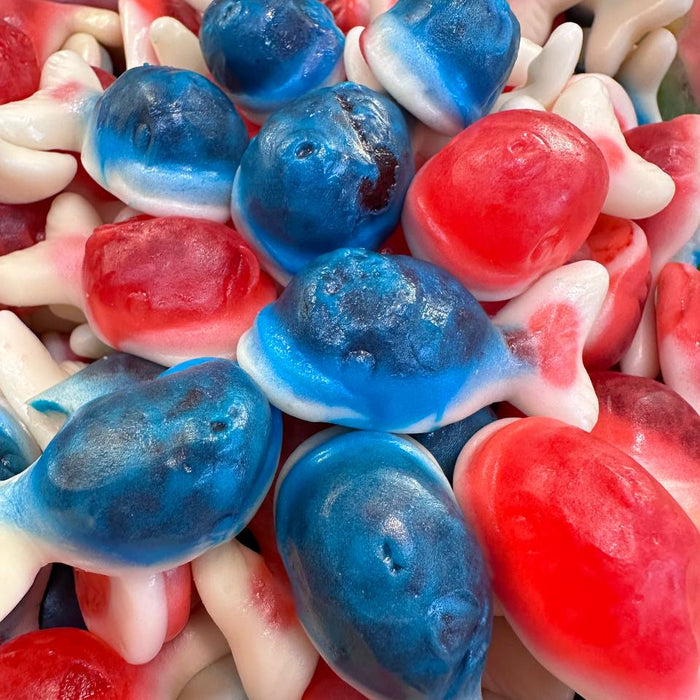 Exploring the World of Gummy Animal Candy: From Turtles to Sharks - Sugar Bear Candy