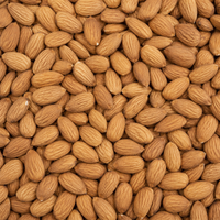 Natural Whole Raw Almonds – Premium Fresh Snack Nuts