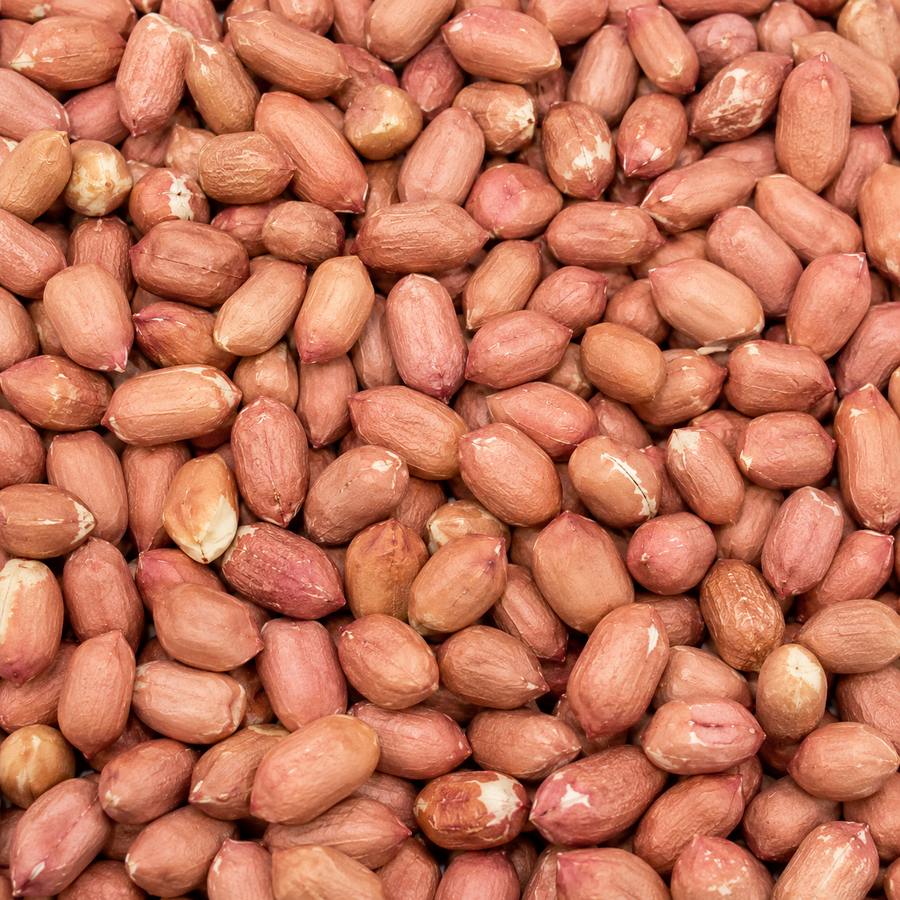 Roasted & Salted Spanish Peanuts – Crunchy Whole Peanuts, Fresh Snack, Protein-Rich, Bulk Gourmet Nuts
