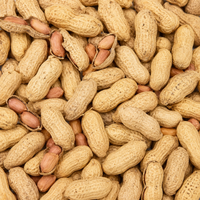 Roasted Jumbo Peanuts in Shell – Fresh Crunchy Whole Peanuts for Snacking, Parties & Sharing