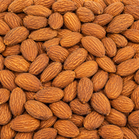 Roasted & Salted Shelled Almonds – Crunchy Premium Almond Kernels for Snacking, Baking & Healthy Trail Mixes