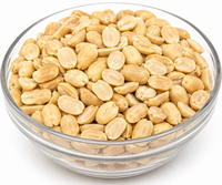 Dry Roasted Split Peanuts – Crunchy Protein-Packed Peanut Halves for Everyday Snacking