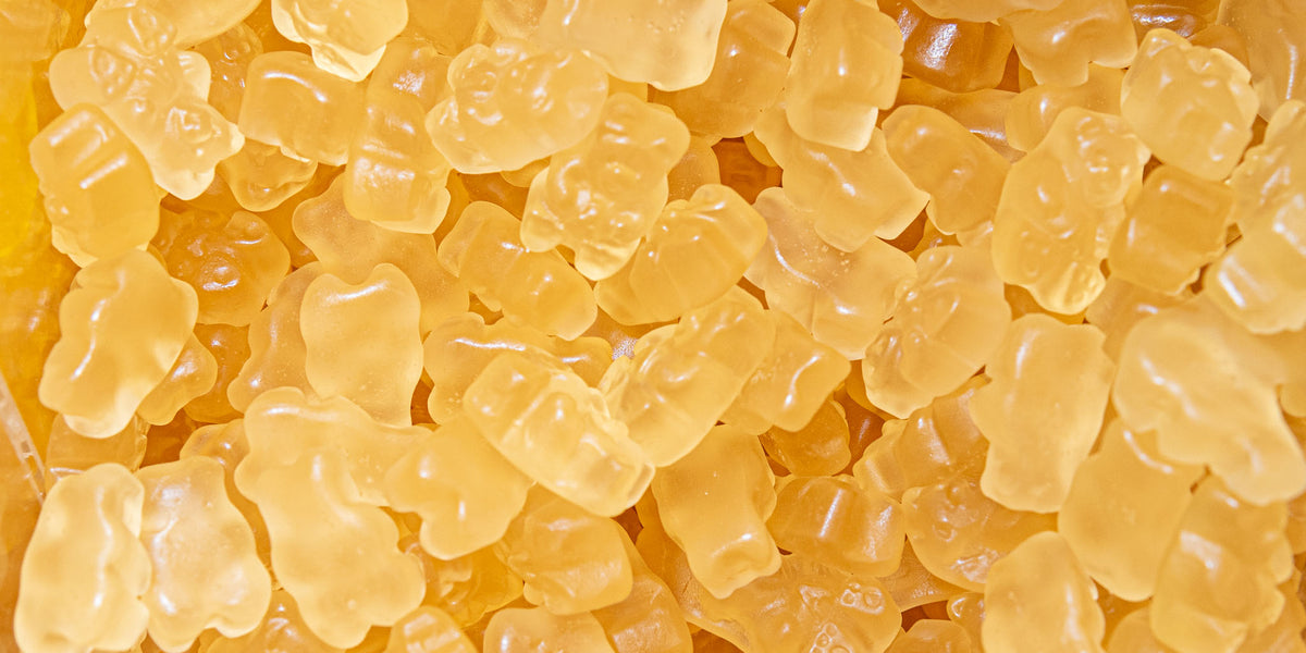 DSC_2233_1200x600_crop_center.