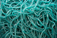 Blue Raspberry Laces - Candy | Sugar Bear Candy
