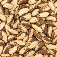 Premium Brazil Nuts – Protein-Rich Healthy Whole Nuts