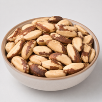 Premium Brazil Nuts – Protein-Rich Healthy Whole Nuts