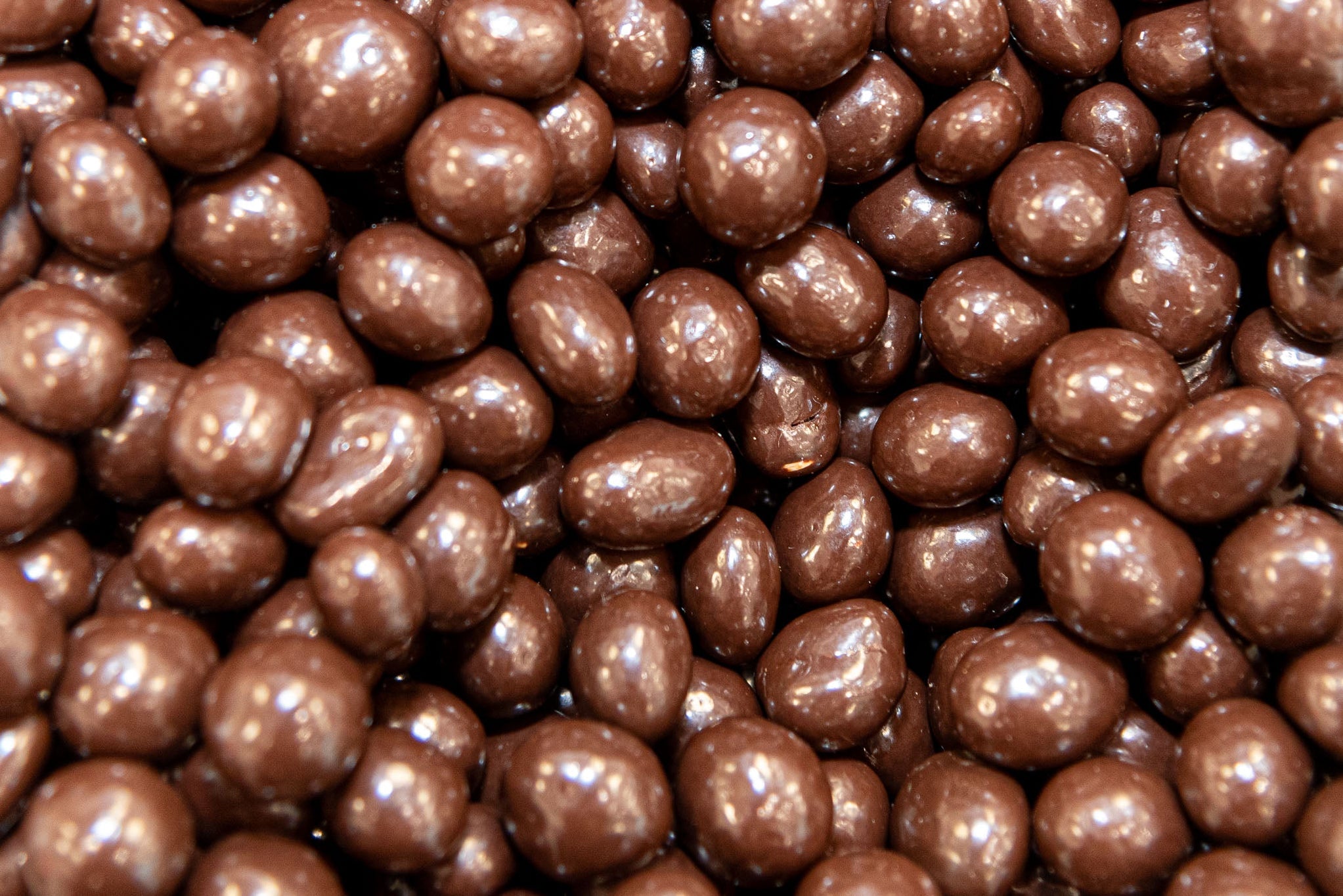 Dark Chocolate Raisins — Sugar Bear Candy