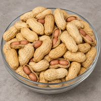 Roasted Jumbo Peanuts in Shell – Fresh Crunchy Whole Peanuts for Snacking, Parties & Sharing