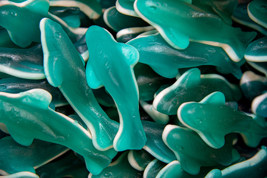 Giant Gummy Killer Blue Shark - Candy | Sugar Bear Candy