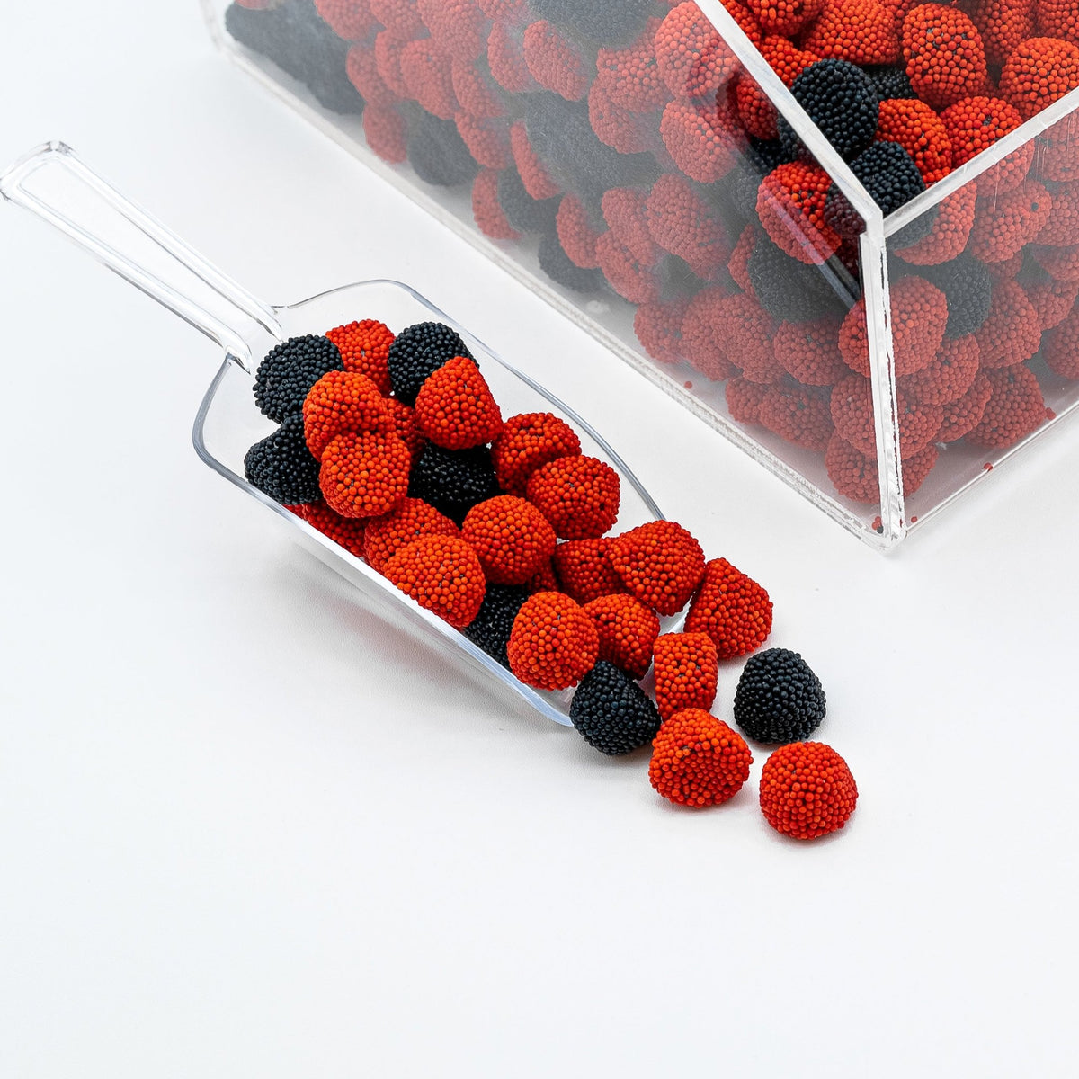 Gummy Black and Red Raspberries — Sugar Bear Candy