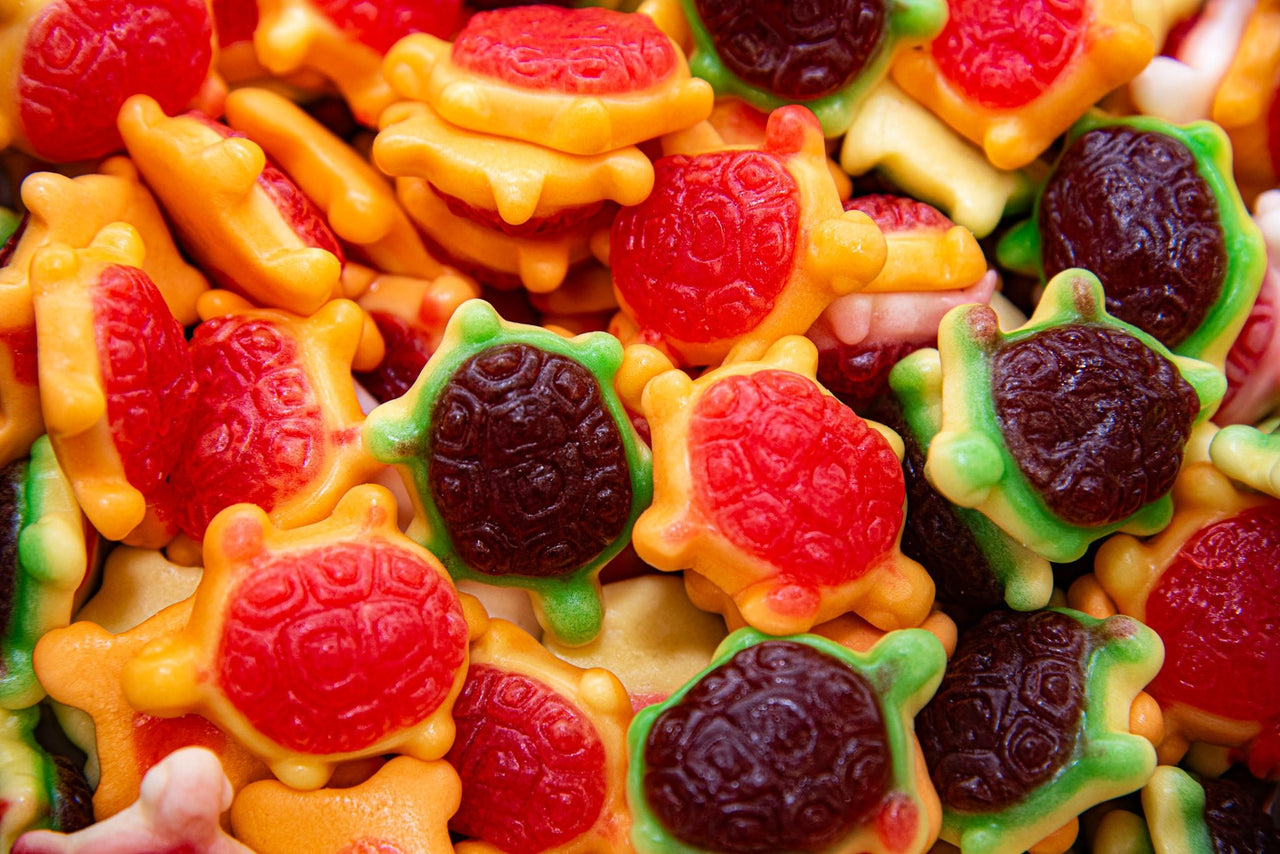 Gummy Filled Turtles - Candy | Sugar Bear Candy